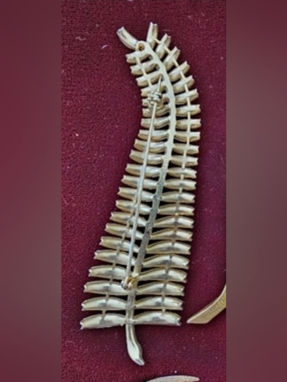 Vintage Silvertone Fern Frond Pin - Picture 4 of 4